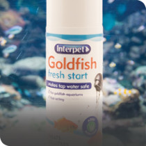 Aquarium Treatments & Fish Healthcare