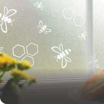 Window Adhesives