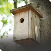 Bird Houses