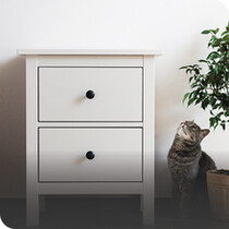Furniture Paint