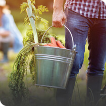 Garden Buckets, Bags, Baskets & Trugs